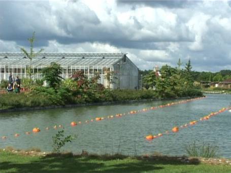 Kevelaer-Twisteden : Niederrheinpark Plantaria, die Kürbisausstellung September 2001